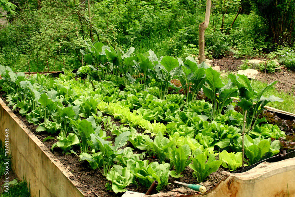 Leistungsbereich Bild